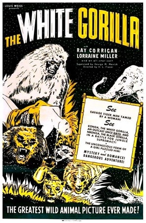 The White Gorilla poster