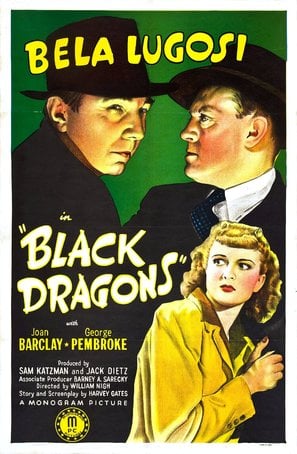 Black Dragons poster