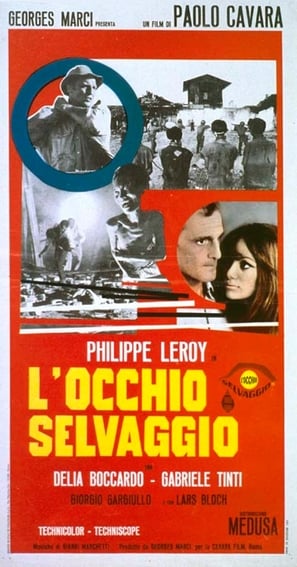 Poster of The Wild Eye