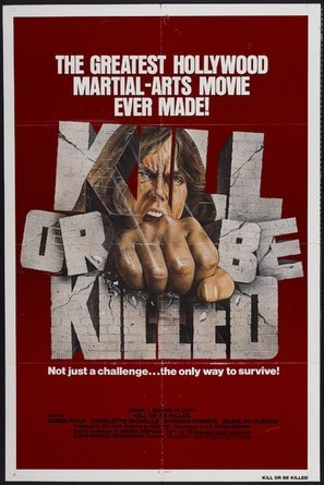 Poster of Karate Killer