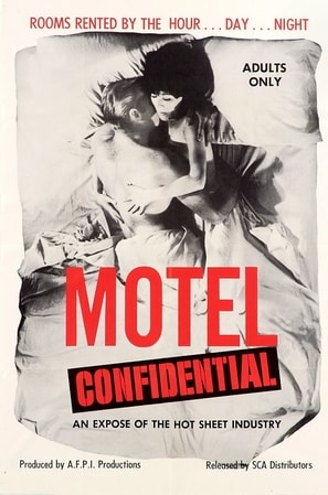 Poster of Motel Confidential