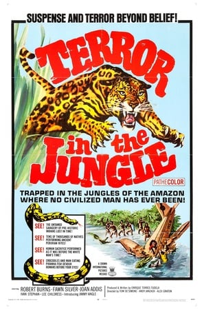 Poster of Terror in the Jungle