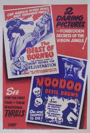 Poster of Voodoo Devil Drums