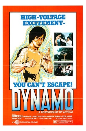 Dynamo poster