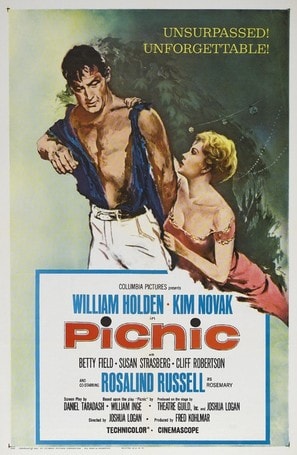 Poster of Picnic