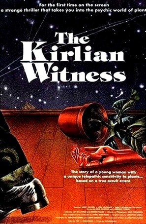 The Kirlian Witness poster