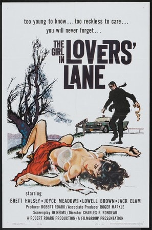 Poster of The Girl in Lovers Lane