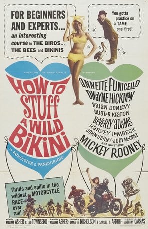 Poster of How to Stuff a Wild Bikini