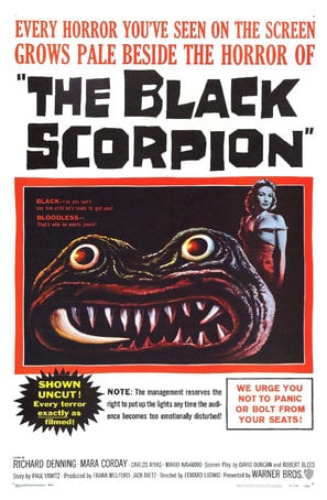 The Black Scorpion poster