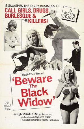Poster of Beware the Black Widow