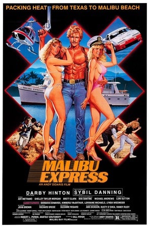 Poster of Malibu Express