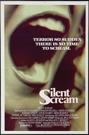 The Silent Scream poster