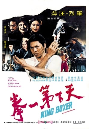 Poster of King Boxer