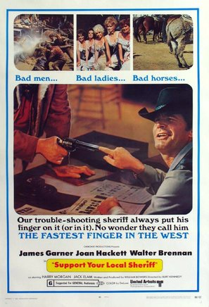 Support Your Local Sheriff! poster
