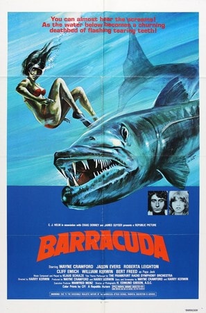 Barracuda poster