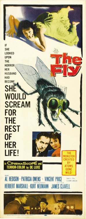 Poster of The Fly