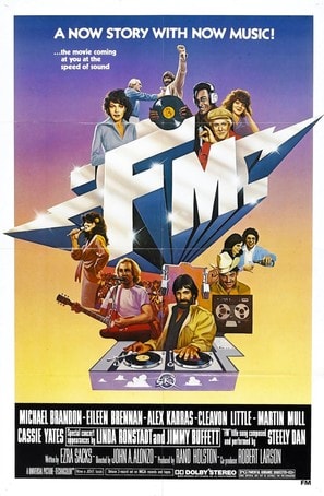 Poster of FM