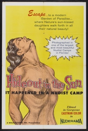 Poster of Hideout in the Sun