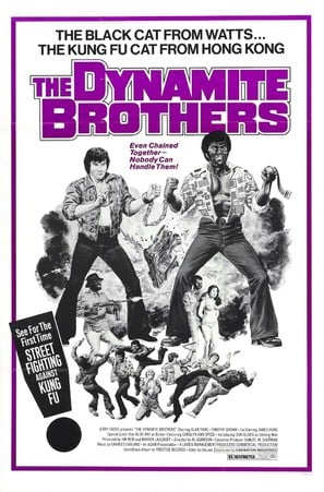 Dynamite Brothers poster