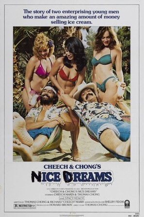 Poster of Nice Dreams