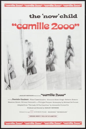 Camille 2000 poster