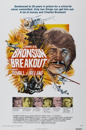 Poster of Breakout