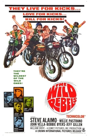 The Wild Rebels poster