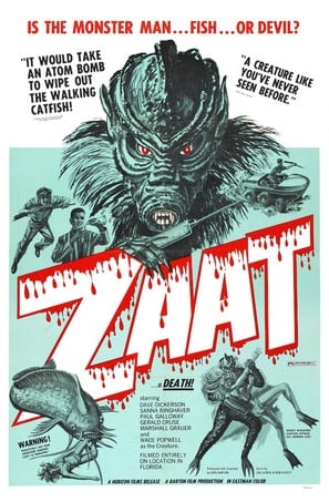 Poster of Zaat