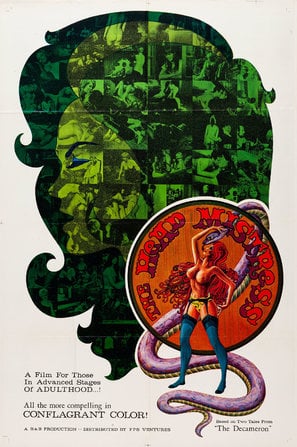 Poster of The Head Mistress