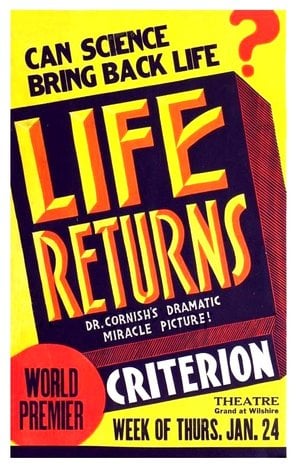 Life Returns poster