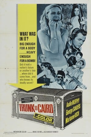 Trunk to Cairo poster