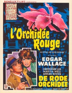 The Secret of the Red Orchid poster