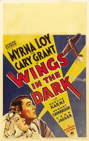 Wings in the Dark poster