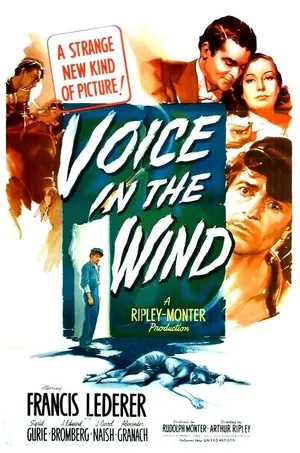 Voice in the Wind poster