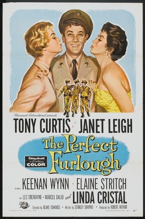 Poster of The Perfect Furlough