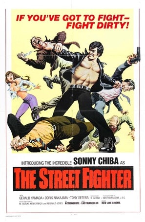 The Street Fighter poster