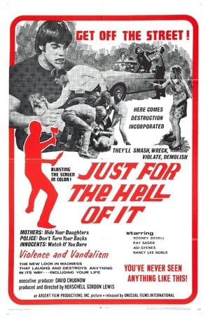 Poster of Just for the Hell of It