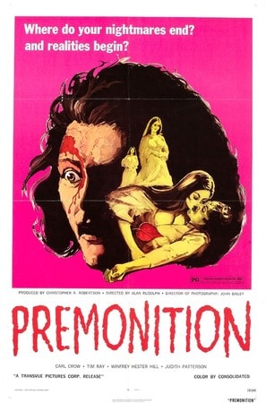 Premonition poster