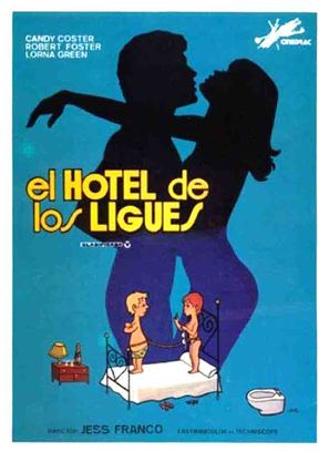 Poster of The Hotel of Love Affairs
