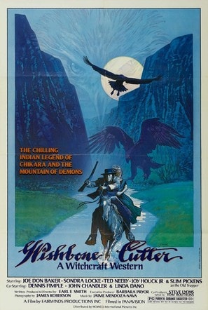 Poster of The Shadow of Chikara