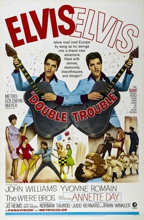 Double Trouble poster