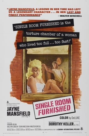 Poster of Single Room Furnished