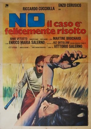Poster of No, the Case Is Happily Resolved