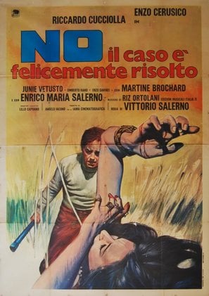 No, the Case Is Happily Resolved poster
