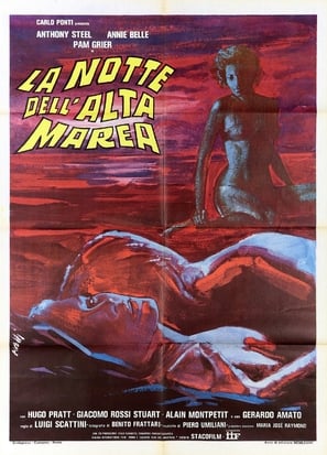 La notte dell’alta marea poster