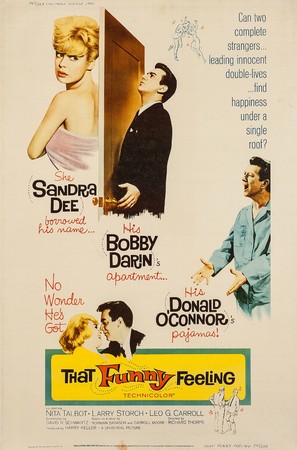 That Funny Feeling poster
