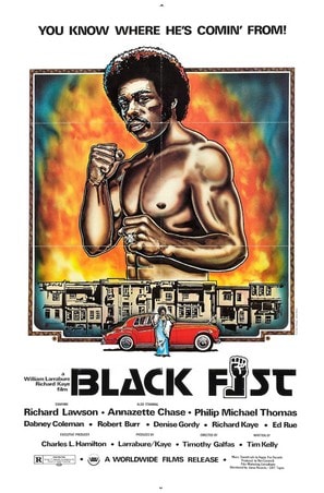 Black Fist poster