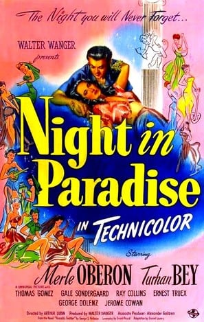 Night in Paradise poster