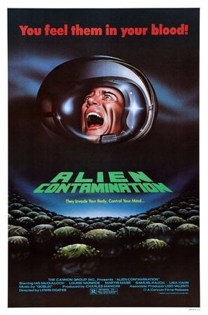 Poster of Contamination