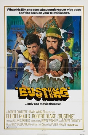 Poster of Busting